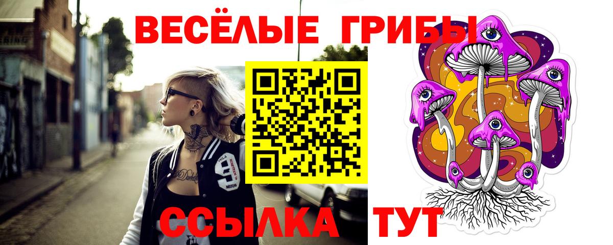 Псилоцибиновые грибы Cubensis Ишим
